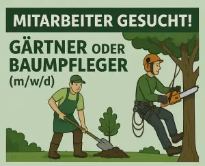 Mitarbeiter gesucht Gärtner / Baumpflege