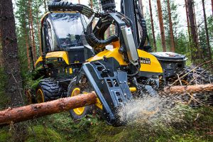 Holzernte Maschinell